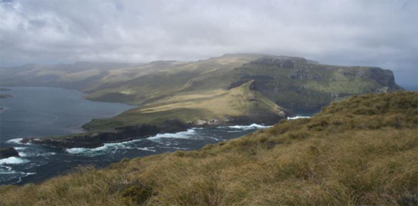Auckland Islands Marine Reserve