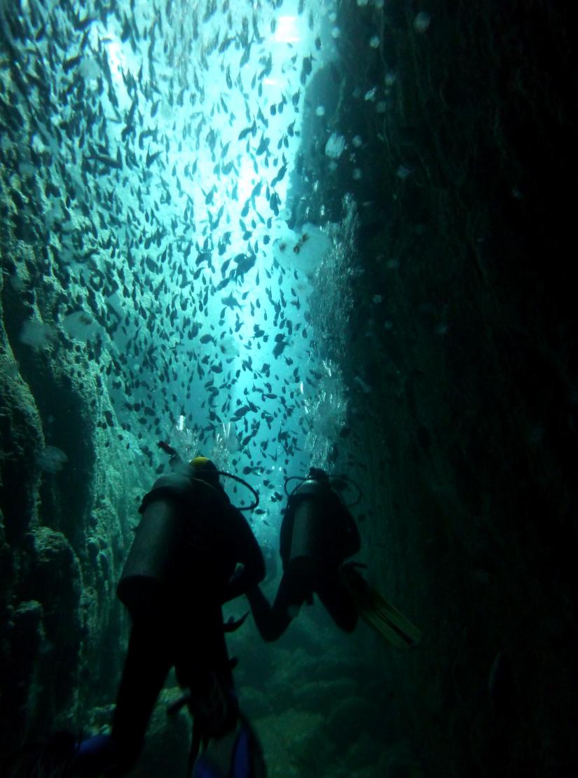 Diving at Poor Knights Islands Marine Reserve 