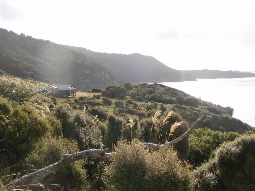 North West Circuit, Stewart Island