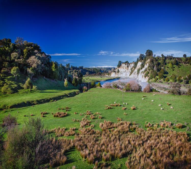 Papa Cliffs, Rangitīkei