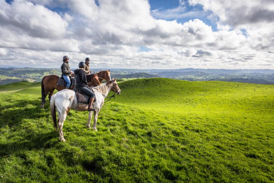 Horse trekking with River Valley Lodge, Rangitīkei