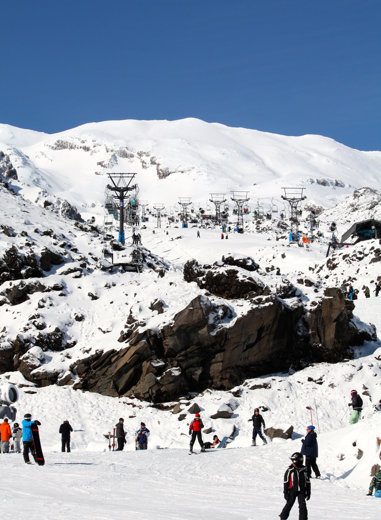 Ruapehu Bluebird