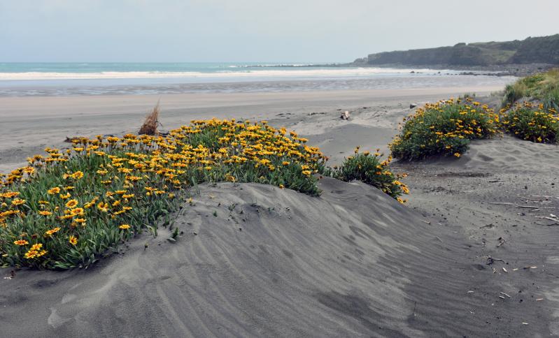 Ōpunake beach, Taranaki