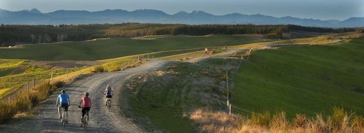Cycling the Tasman Great Taste Trail