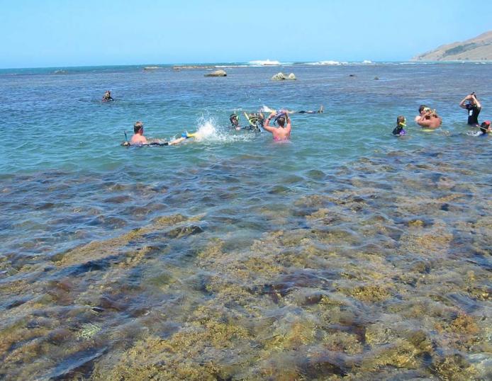 Snorkelling at Te Tapuwae o Rongokako Marine Reserve 