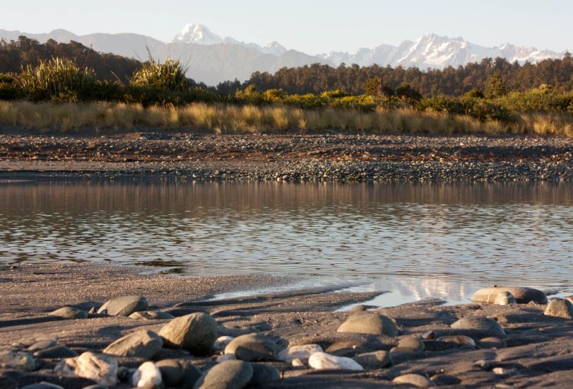 Waiho River, Waiau Glacier Marine Reserve 