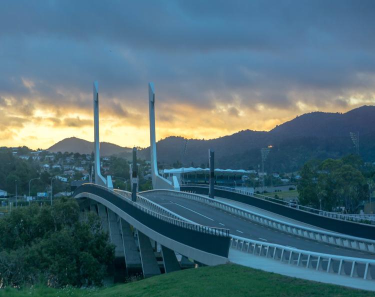 Te Matau a Pohe Bridge