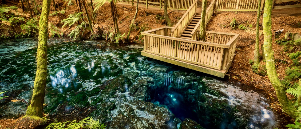 Hamurana Springs, Rotorua