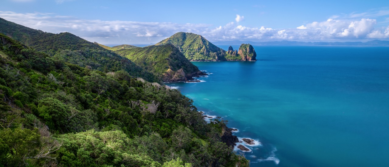 Coromandel Coastal Walkway