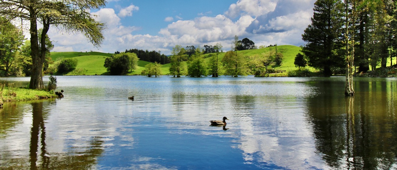 McLaren Falls Park, Bay of Plenty