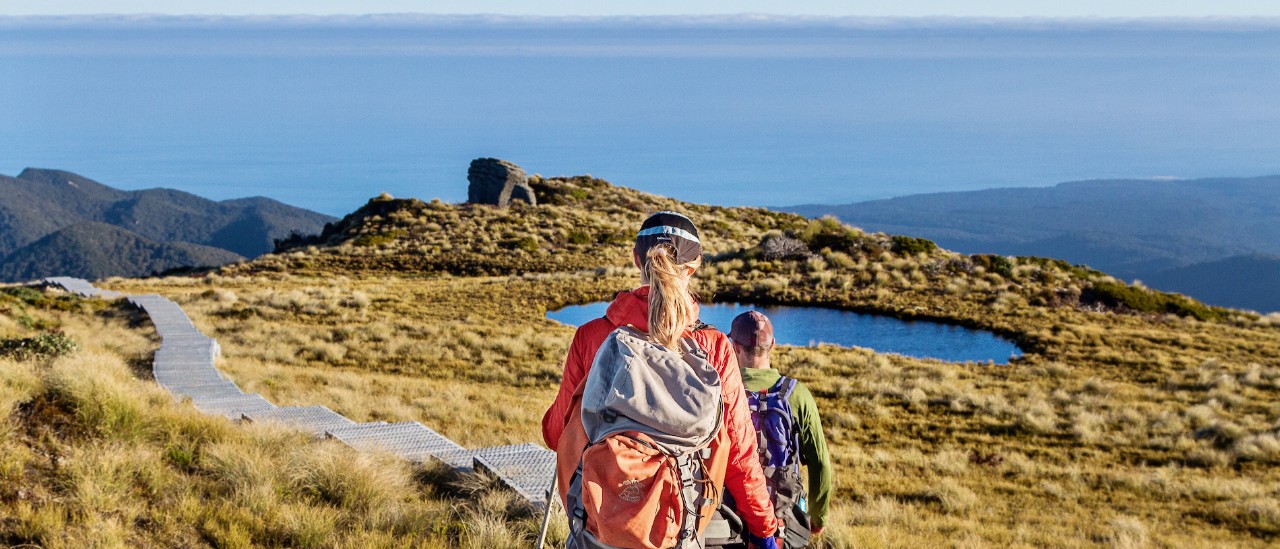 Tuatapere Hump Ridge Track, Southland