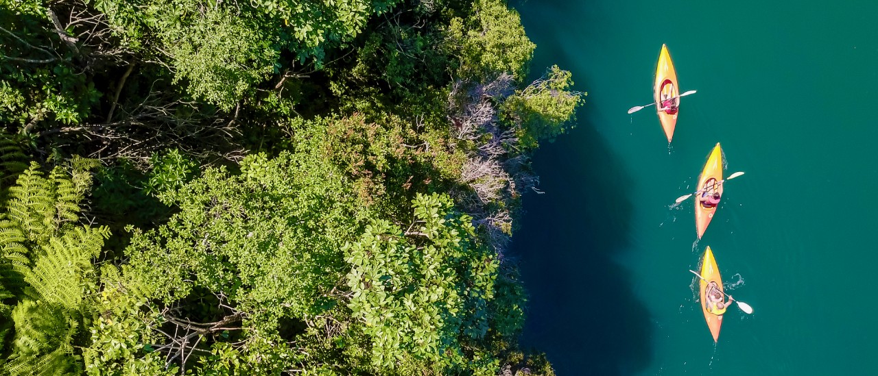 Marlborough Sounds kayaking