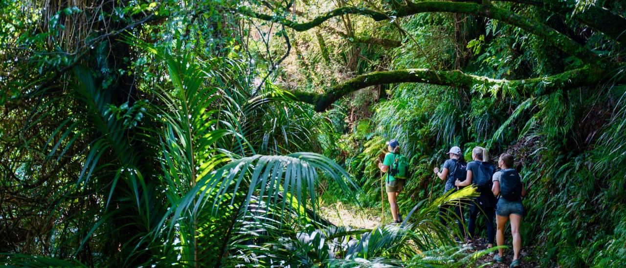 Nydia Track, Marlborough