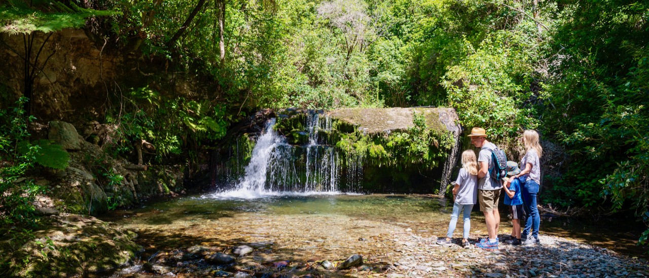 Brook Sancturary, Nelson
