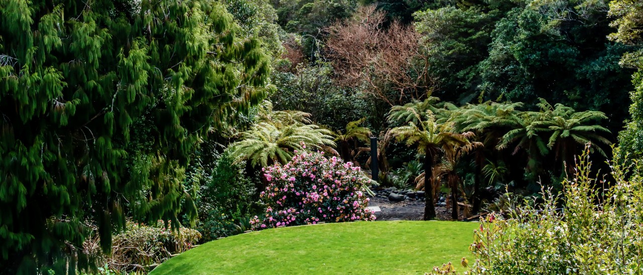 Pukeiti Gardens, Taranaki