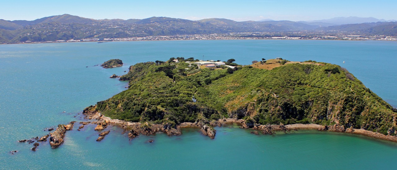 Matiu Somes Island, Wellington
