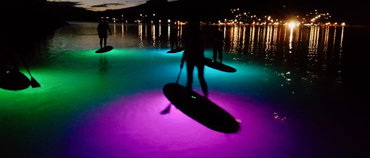 Akaroa paddleboarding