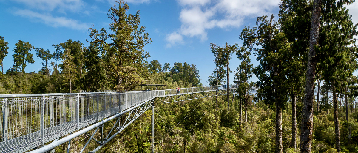 Hokitika Treetops Walk