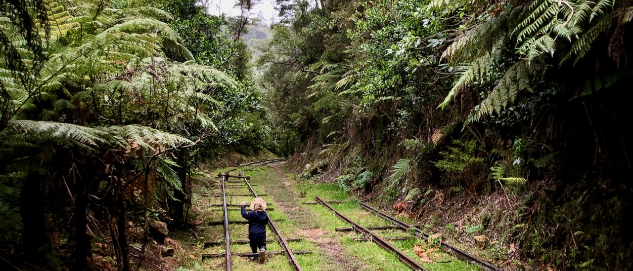 Gold mining heritage, Waikato