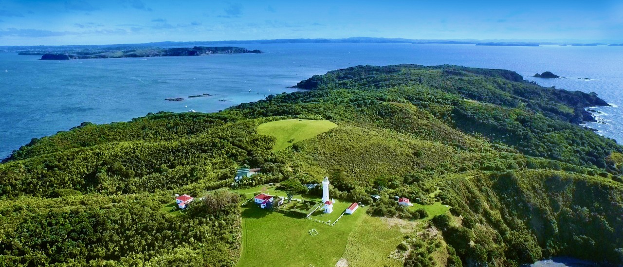 Tiritiri Matangi Island, Auckland