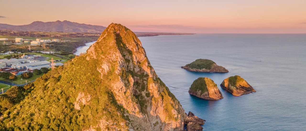 Taranaki Kiwi Gems