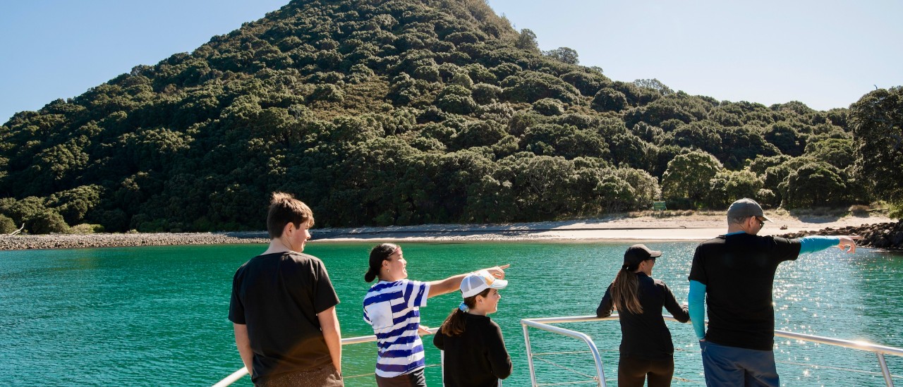 Bay of Plenty and Coromandel Kiwi Gems