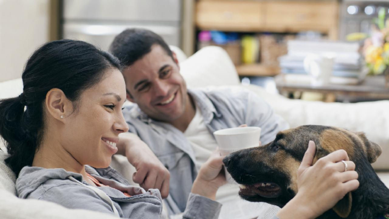 A woman and a man siting on a couch with their dog