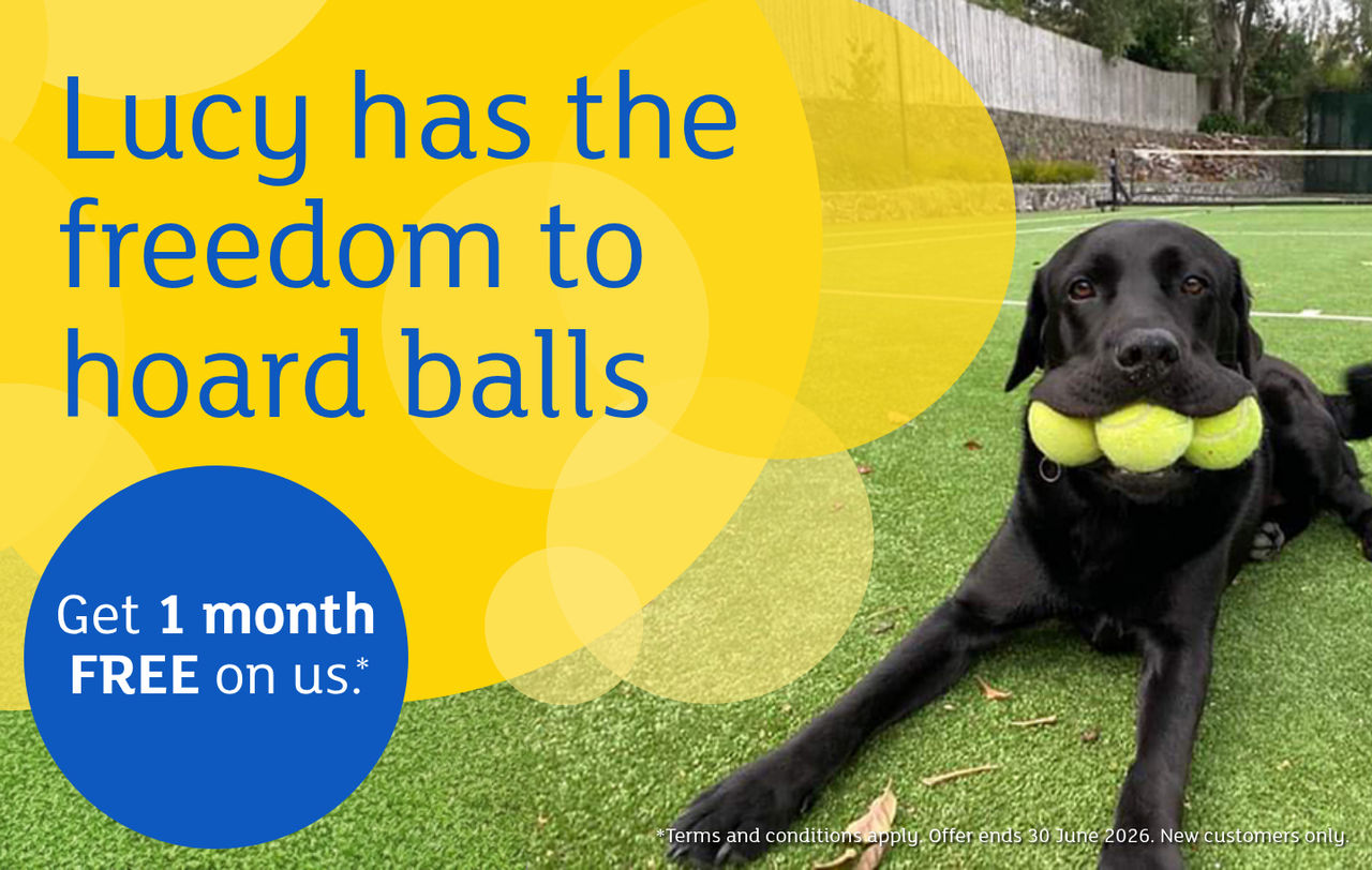 Get 1 Month Free AA Pet Insurance