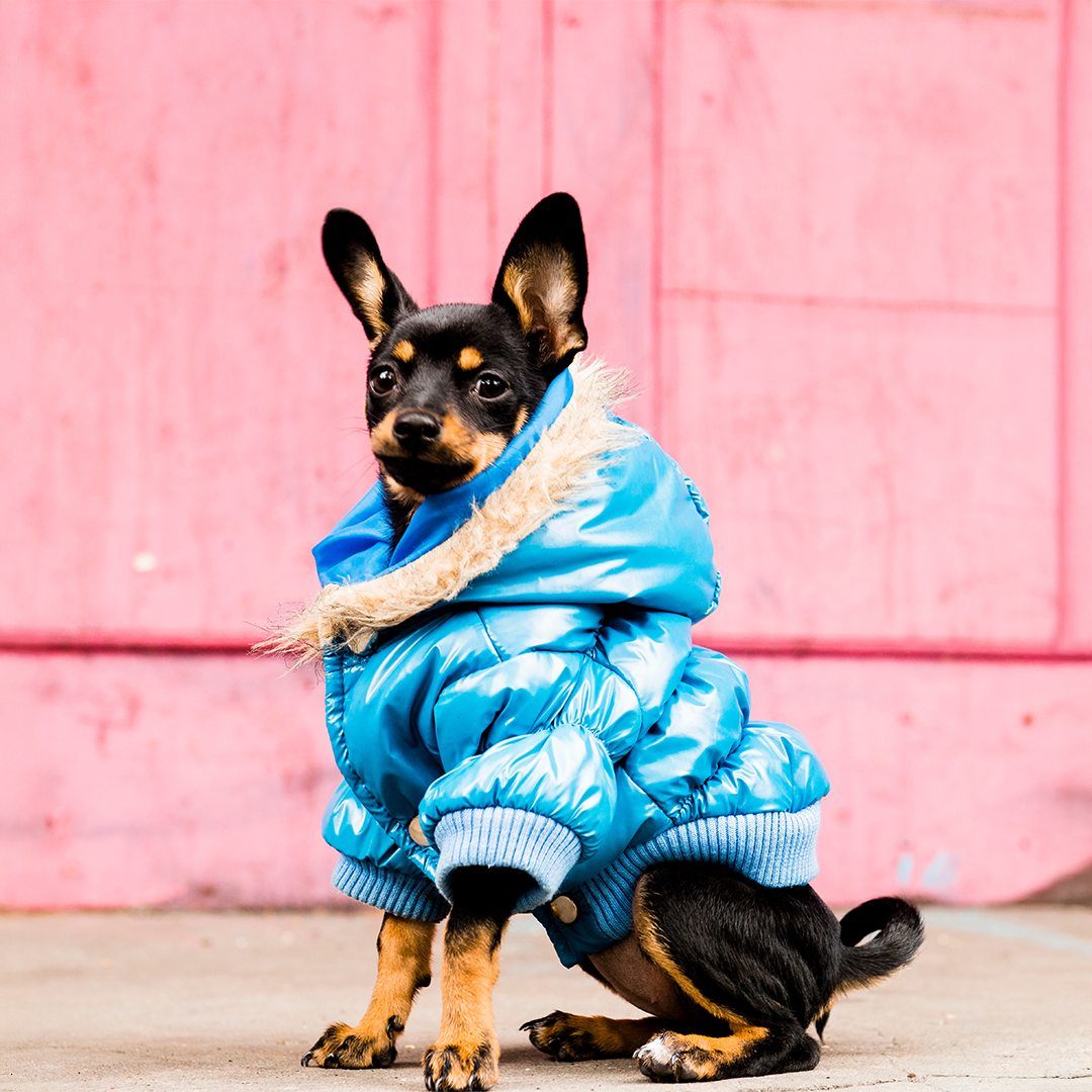 Parka