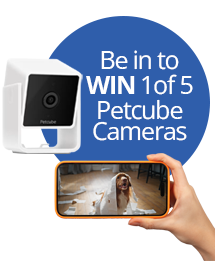 Be in to WIN 1 of 5 Petcube cameras. 