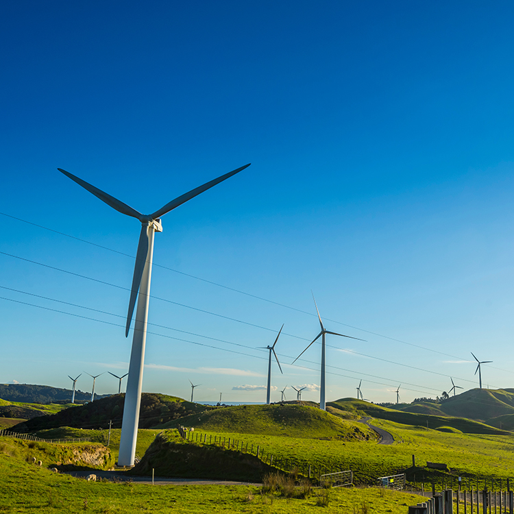 New Zealand is blessed with abundant renewable electricity. 