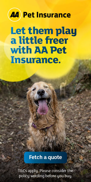 Pet Insurance banner