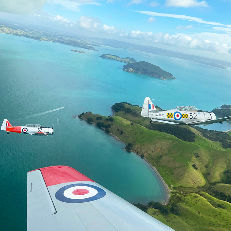 Harvards fly in formation over Kawakawa Bay in Auckland.