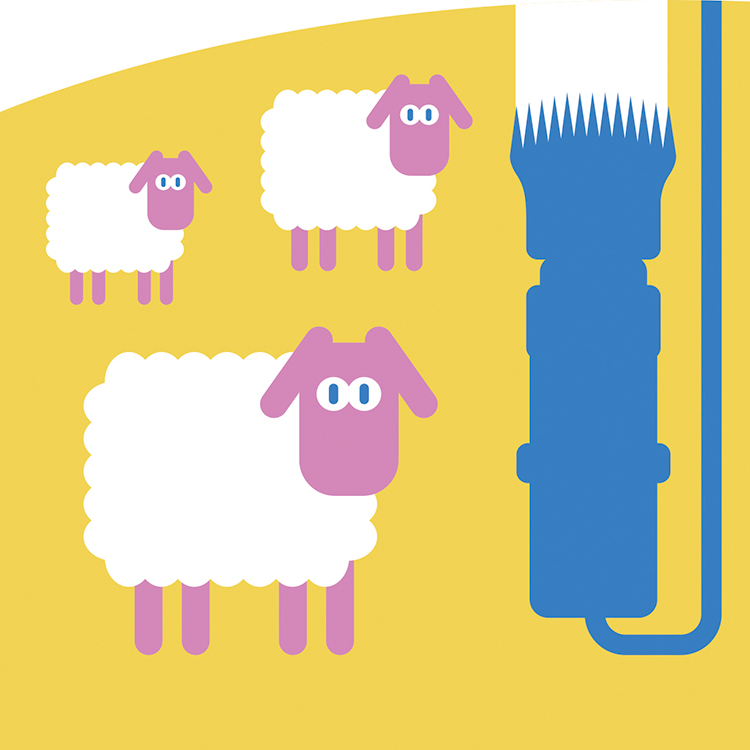 Why is wool so special?