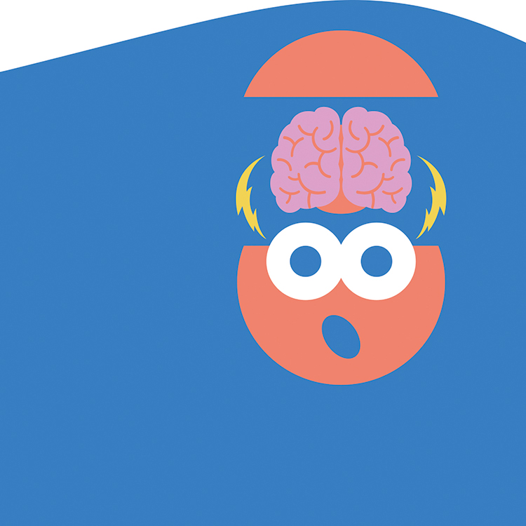 How do our eyes work?