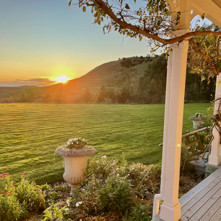 Sunrise views out to the ocean at Cape South, Hawke's Bay.