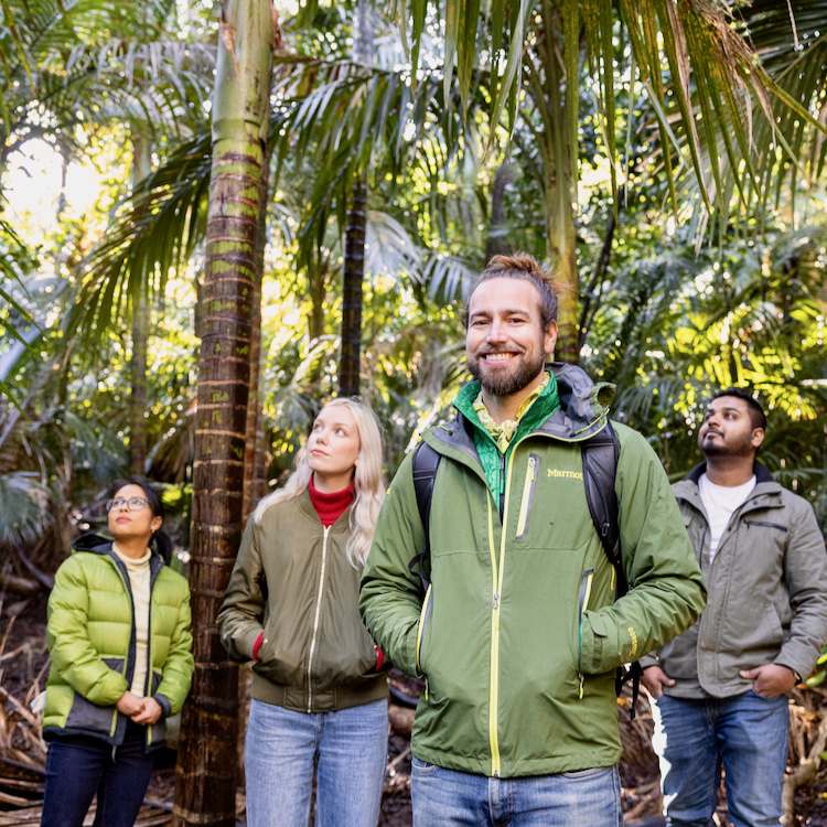 Forest bathing helps you reconnect with nature. 