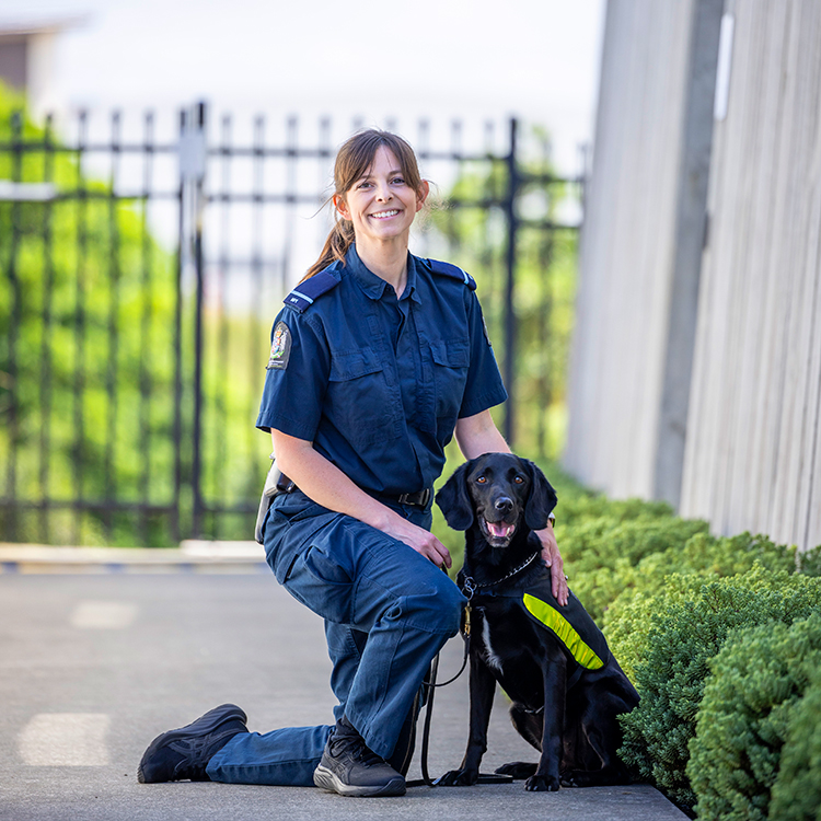 Dream team, Amy and Ally.