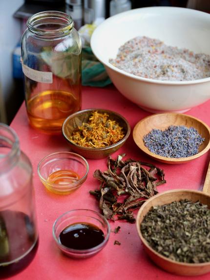 Some of Joyann's native rongoā ingredients. 