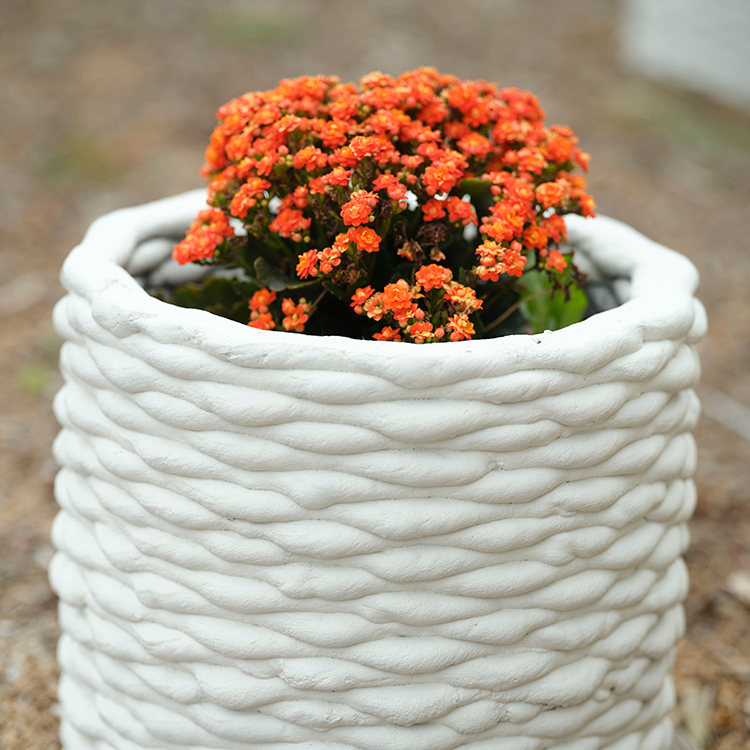 A 3D printed planter at the Amcrete show home. Photo by Mark Smith.