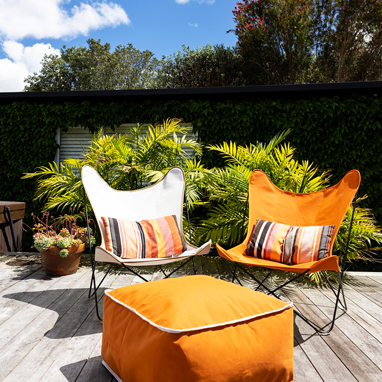 Two butterfly chairs