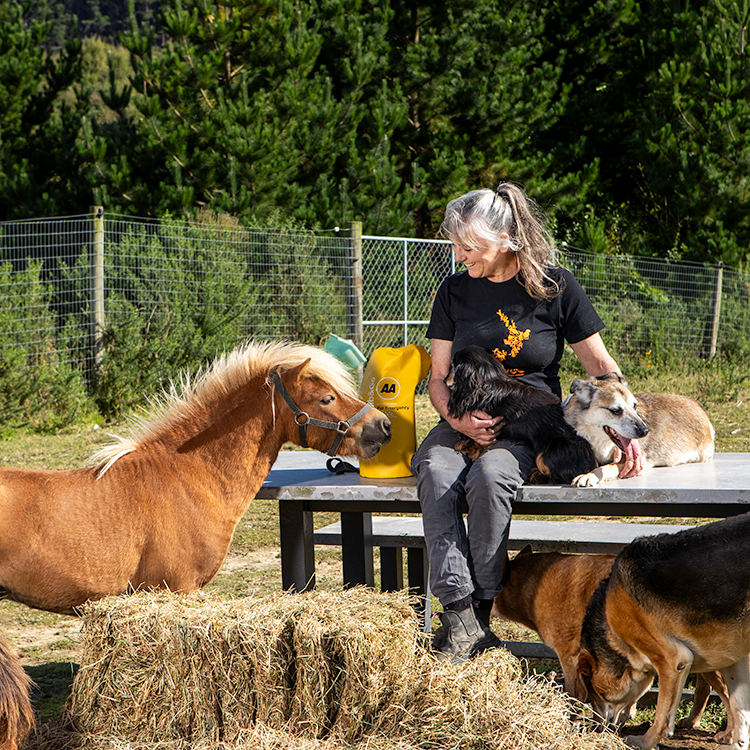 Create an evacuation for pets and animals in case of a major weather event. Photo by Nicola Edmonds.