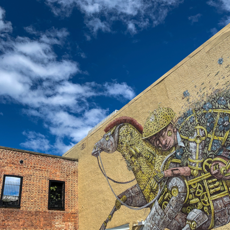 Dunedin City has some incredible street art. 