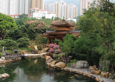 Hong Kong INP2