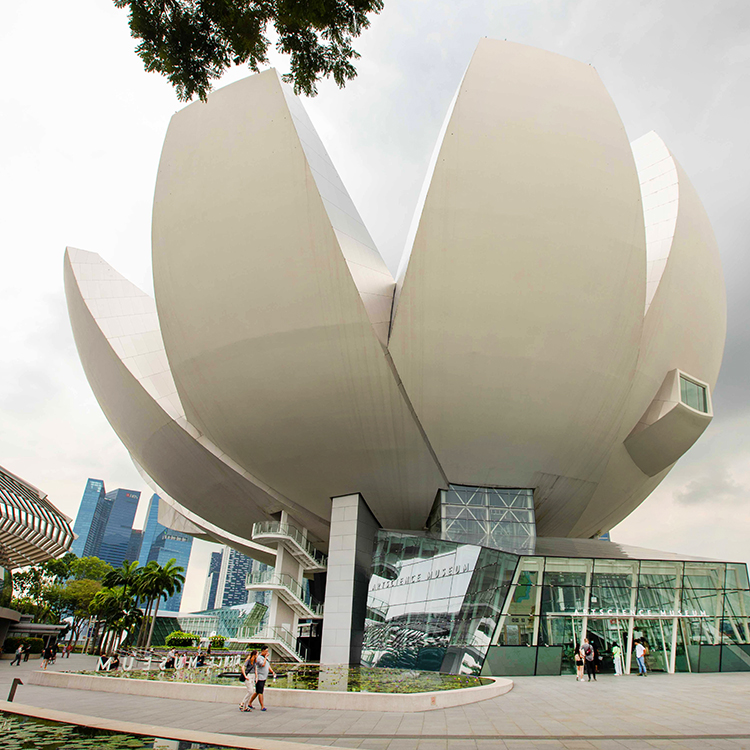 The lotus-shaped Art Science Museum in Singapore. Photo by Tim Cuff.