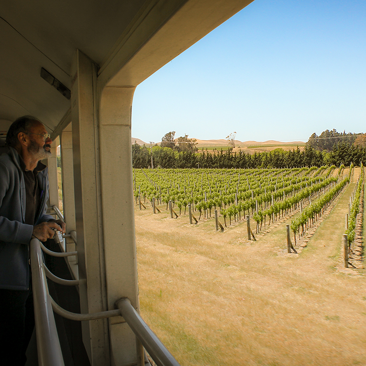 Coastal Pacific  vineyards