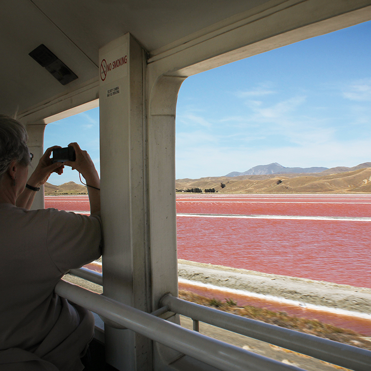 Coastal Pacific Lake Grassmere INP