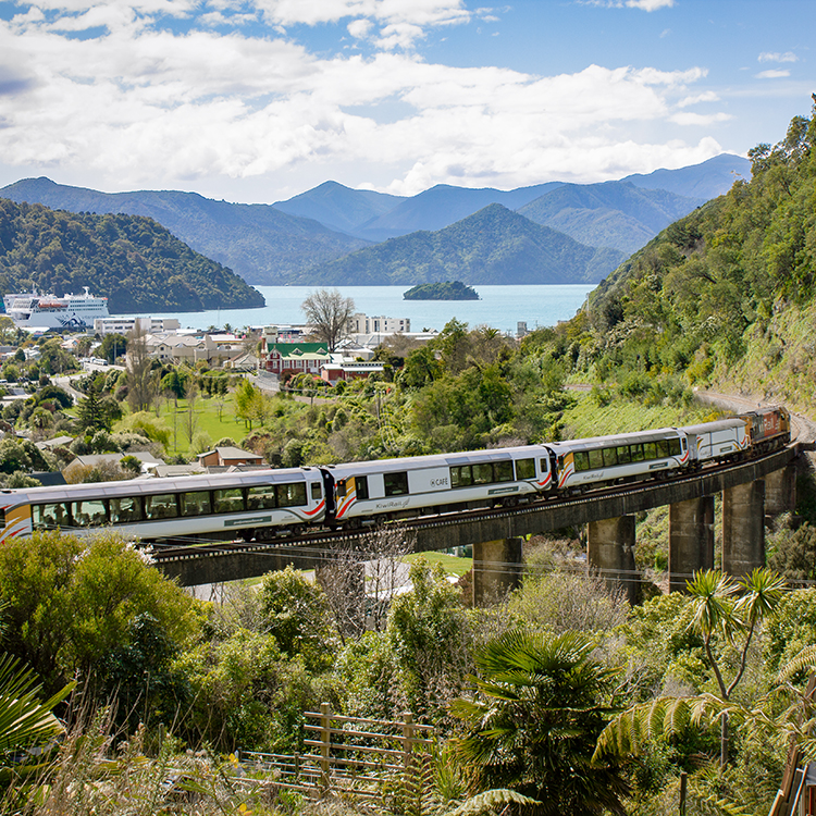 The Coastal Pacific arrives in Picton.