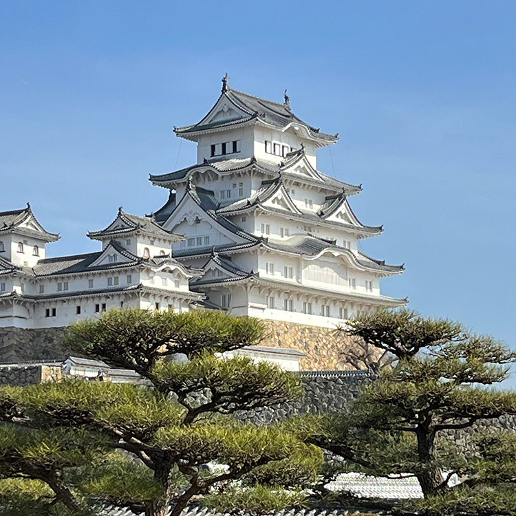 Himeji Castle was designed to resemble white herons in flight. 