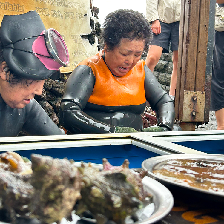 Jeju’s Haenyeo women have been freediving for seafood since at least the 17th century. 